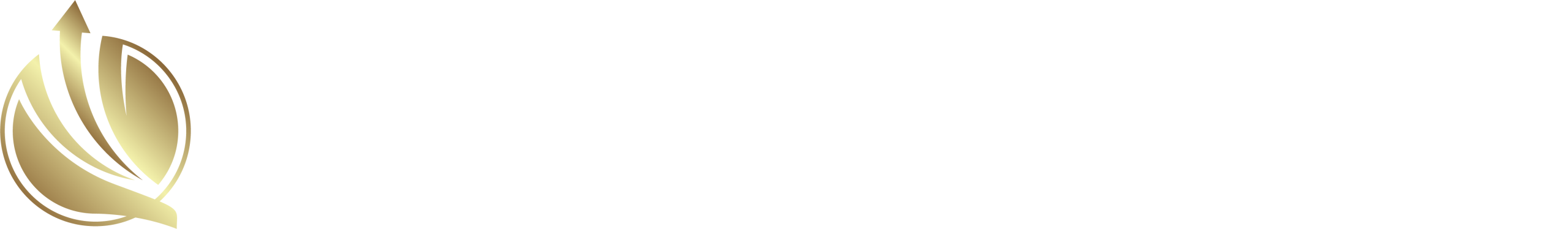 LD Investments
